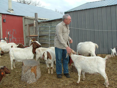 Richard with Boer does at Canyon Goat Company